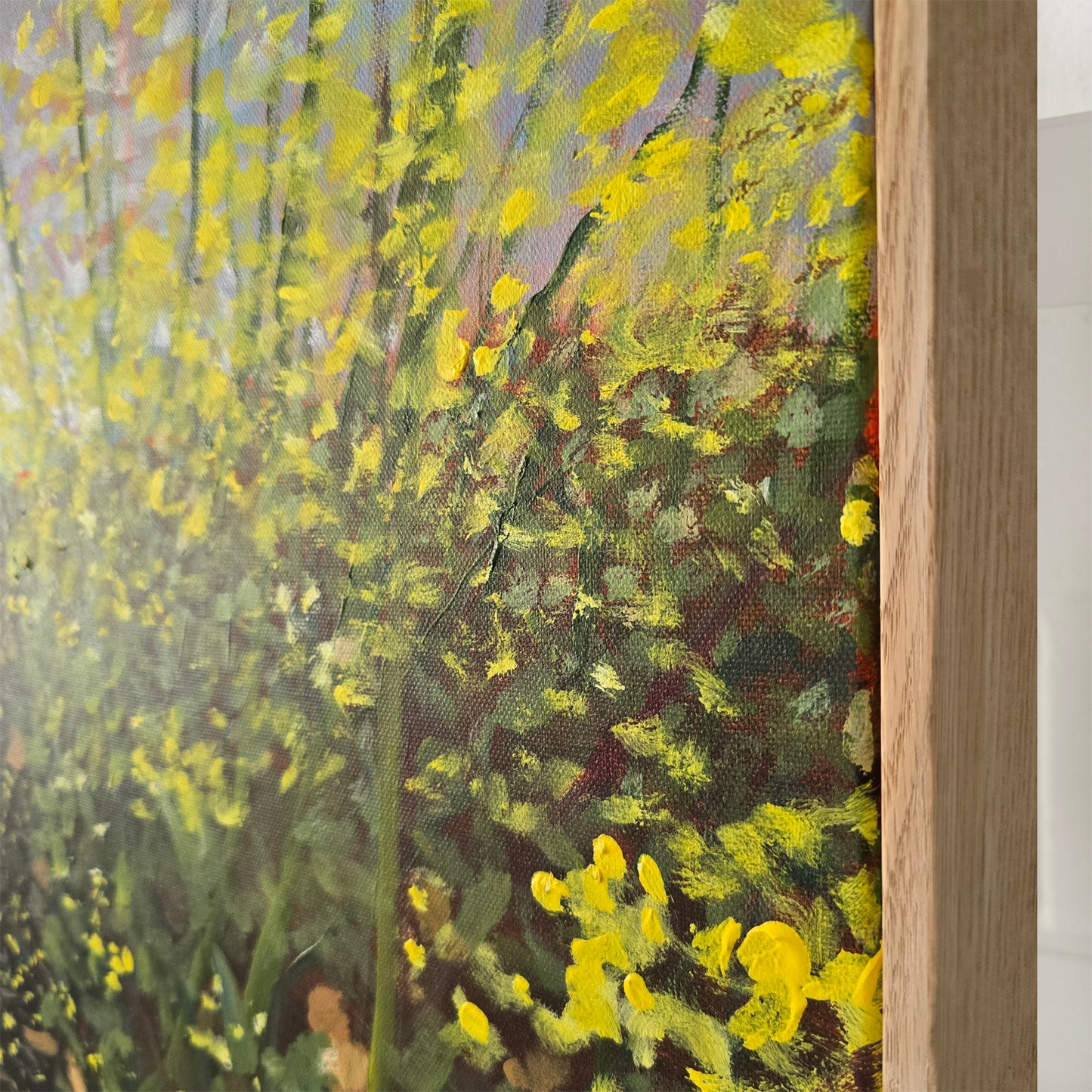 Linzie Joanne Canola Fields 4
