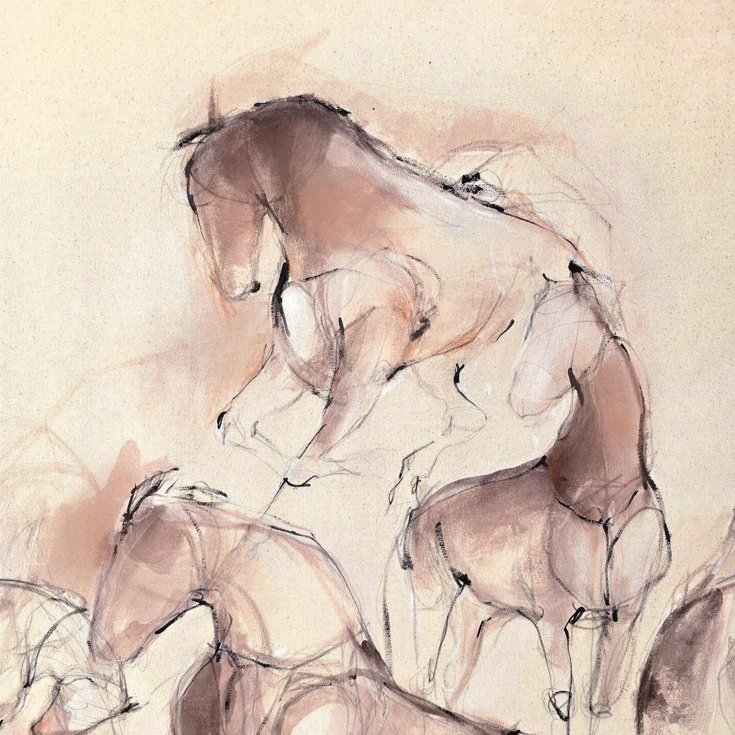 Katherine Elizabeth OMEGA Horses