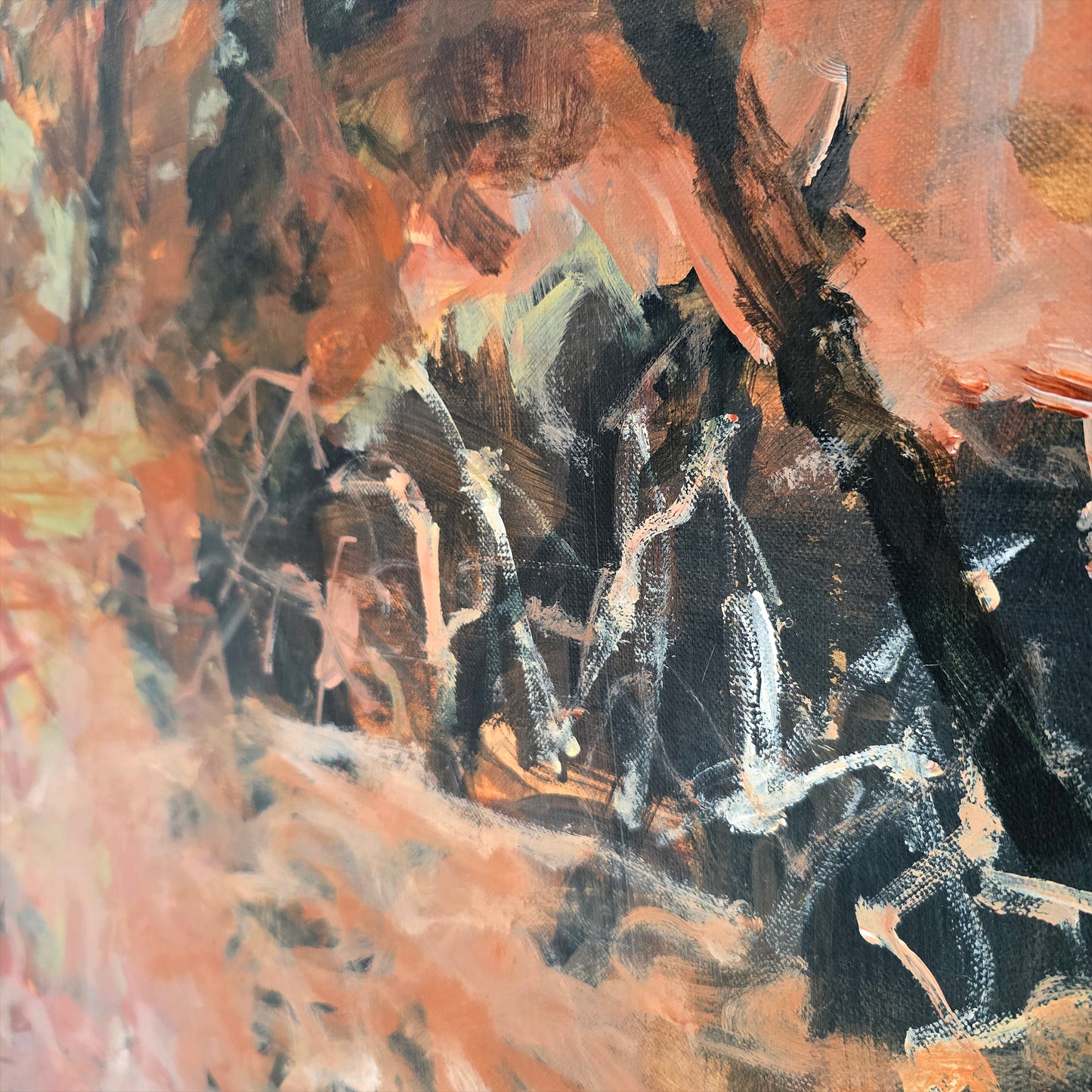 Joanna Woods The Gully After the Fire