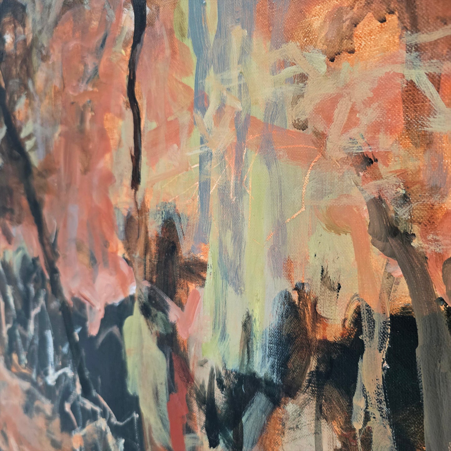 Joanna Woods The Gully After the Fire